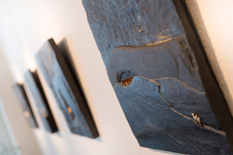 Fotogalerie
